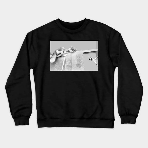 Moments With Max #3 Crewneck Sweatshirt by LaurieMinor